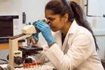 Artificial Intelligence for Blood Cell Analysis