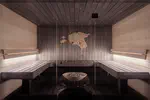 SmartSauna